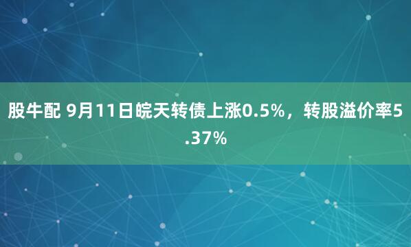 股牛配 9月11日皖天转债上涨0.5%，转股溢价率5.37%