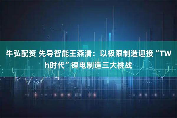 牛弘配资 先导智能王燕清：以极限制造迎接“TWh时代”锂电制造三大挑战