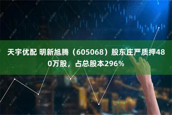 天宇优配 明新旭腾（605068）股东庄严质押480万股，占总股本296%